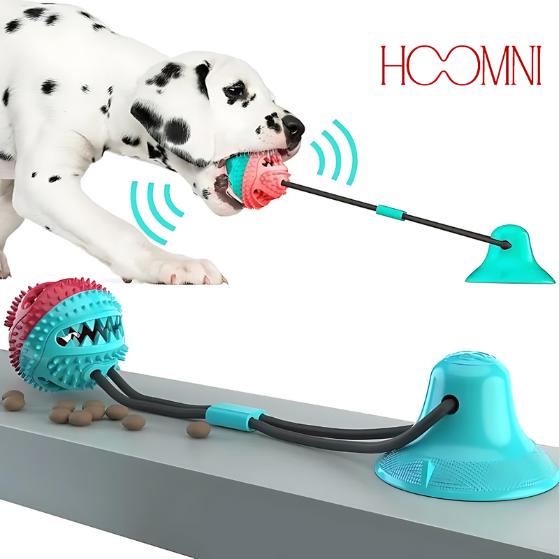 Brinquedo Interativo Para Pets - HOOMNI