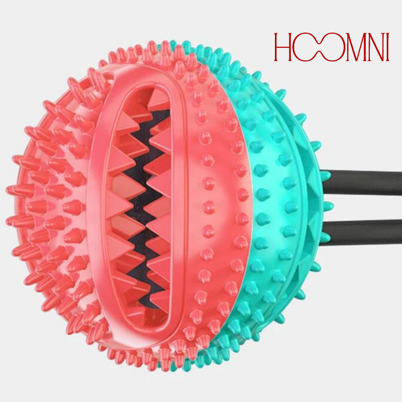 Brinquedo Interativo Para Pets - HOOMNI