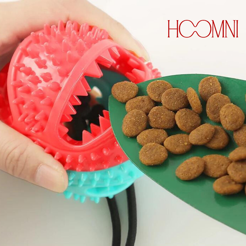 Brinquedo Interativo Para Pets - HOOMNI