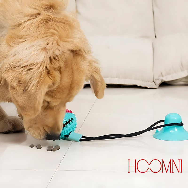 Brinquedo Interativo Para Pets - HOOMNI